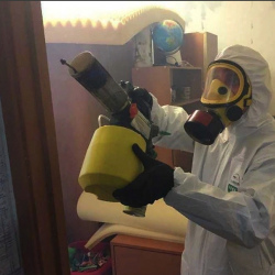 Уничтожение клопов в квартире. Дзержинский